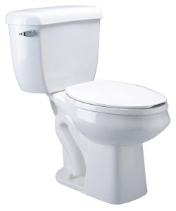 Zurn Z5560 Ecovantage Toilet